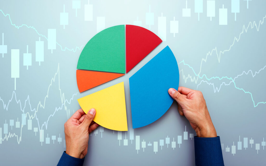 Blog Paytm Portfolio Diversification